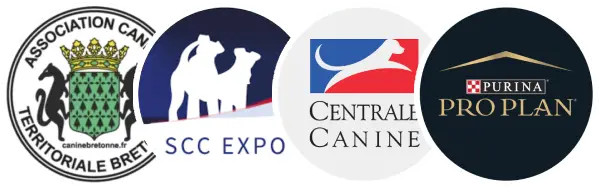 Un suivi professionnel